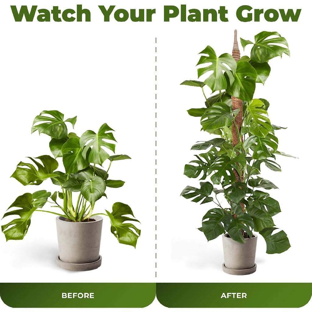 2 Pack 48'' Bendable Moss Pole Monstera Plant Support For Climbing Indoor Plants - Stakes For Potted Climbers - Tall Sticks Indoor Trellis For Houseplants - Accessories For Monstera Pot