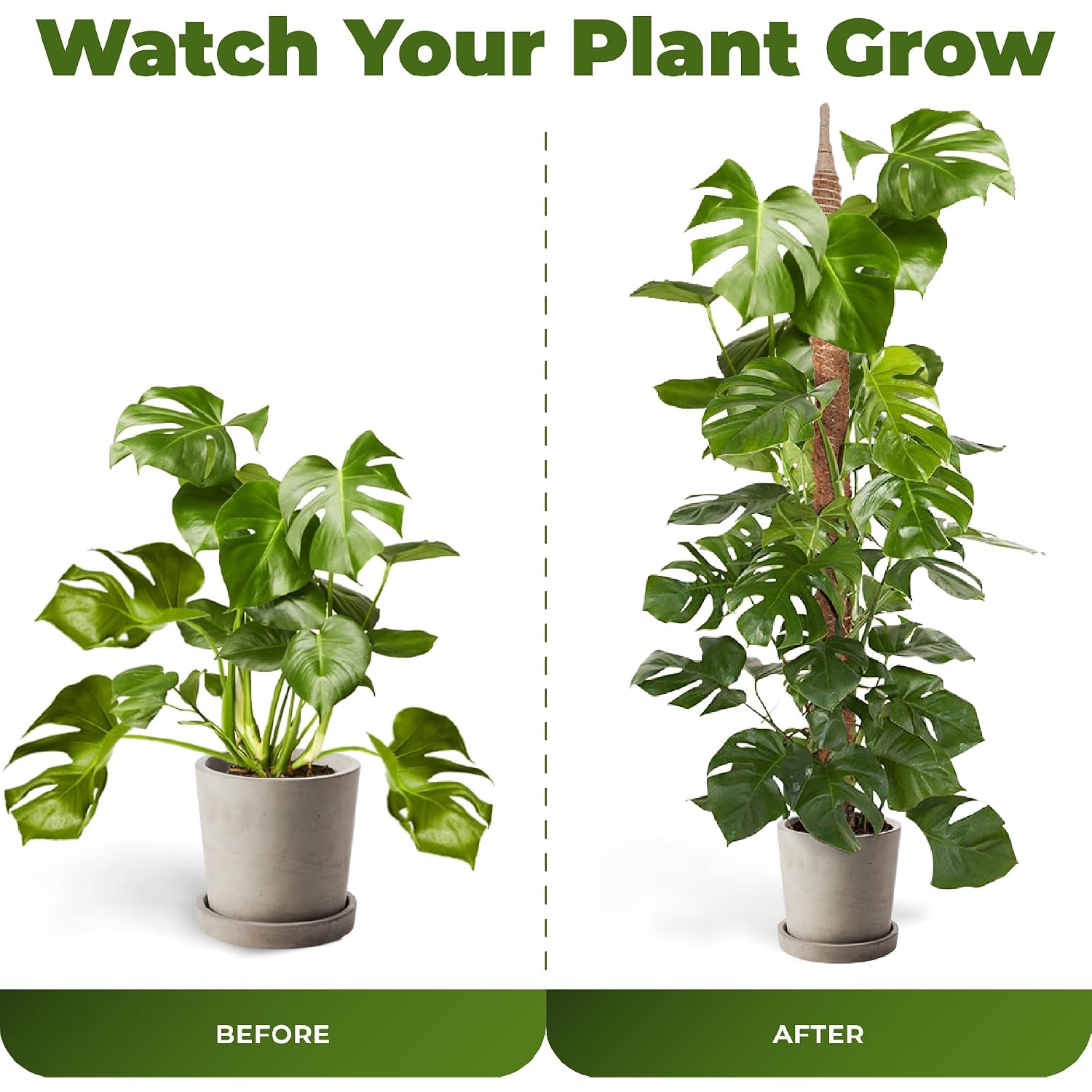 2 Pack 48'' Bendable Moss Pole Monstera Plant Support For Climbing Indoor Plants - Stakes For Potted Climbers - Tall Sticks Indoor Trellis For Houseplants - Accessories For Monstera Pot