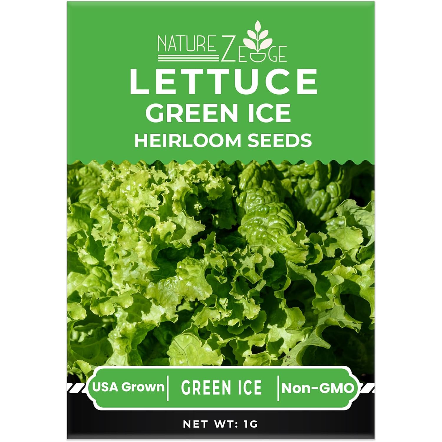 Naturez Edge Lettuce Seeds For Planting, 4 Popular Varieties Non-Gmo Heirloom Seeds, Red Romaine, Bibb Butter, Black Seeded Simpson, Green Ice Lettuce, Romaine, Salad Lettuce, Hydroponic Garden, Usa