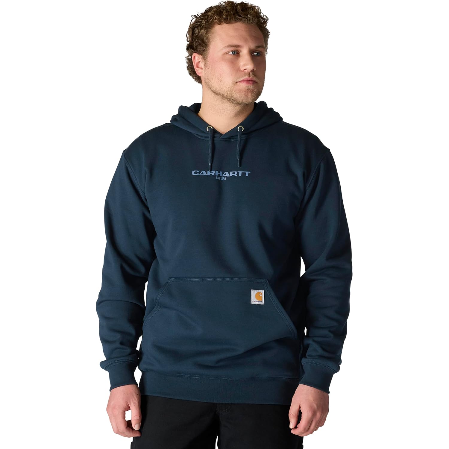 Carhartt Men'S Rain Defender Loose Fit Midweight 1889 Graphic Sweatshirt