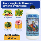 Neptune'S Harvest Fish & Seaweed Liquid Fertilizer (2-3-1) - 36Oz Bottle - Plant Food For Garden - Indoor & Outdoor Organic Plant Fertilizer For Vegetables, Flowers, Fruit, Trees & Lawns