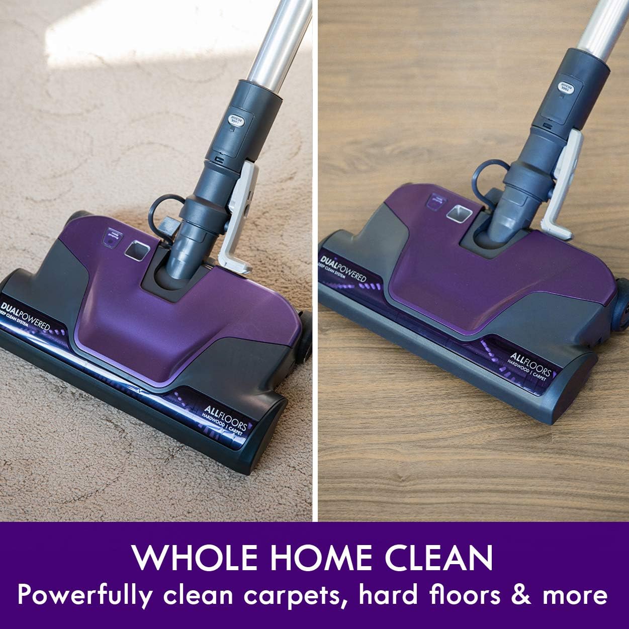 Kenmore 600 Series Pet Friendly Lightweight Bagged Canister Vacuum With Pet Powermate, Pop-N-Go Brush, 2 Motors, Hepa Filter, Aluminum Telescoping Wand, Retractable Cord And 4 Cleaning Tools, Purple