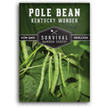 Kentucky Wonder Pole Bean Seeds For Planting (1 Pack) | Heirloom Climbing Green Beans For Trellis Growing - Long Harvest Season, Stringless Pods - Survival Garden Seeds