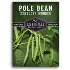 Kentucky Wonder Pole Bean Seeds For Planting (1 Pack) | Heirloom Climbing Green Beans For Trellis Growing - Long Harvest Season, Stringless Pods - Survival Garden Seeds