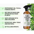 Kate'S Home & Garden Plant Spray For Insects & Getting Rid Of Gnats With 12 Sticky Traps. Fungus Gnat Killer & Bug Spray For Indoor Plants (16Oz, Peppermint, Pet Safe, Non Toxic)