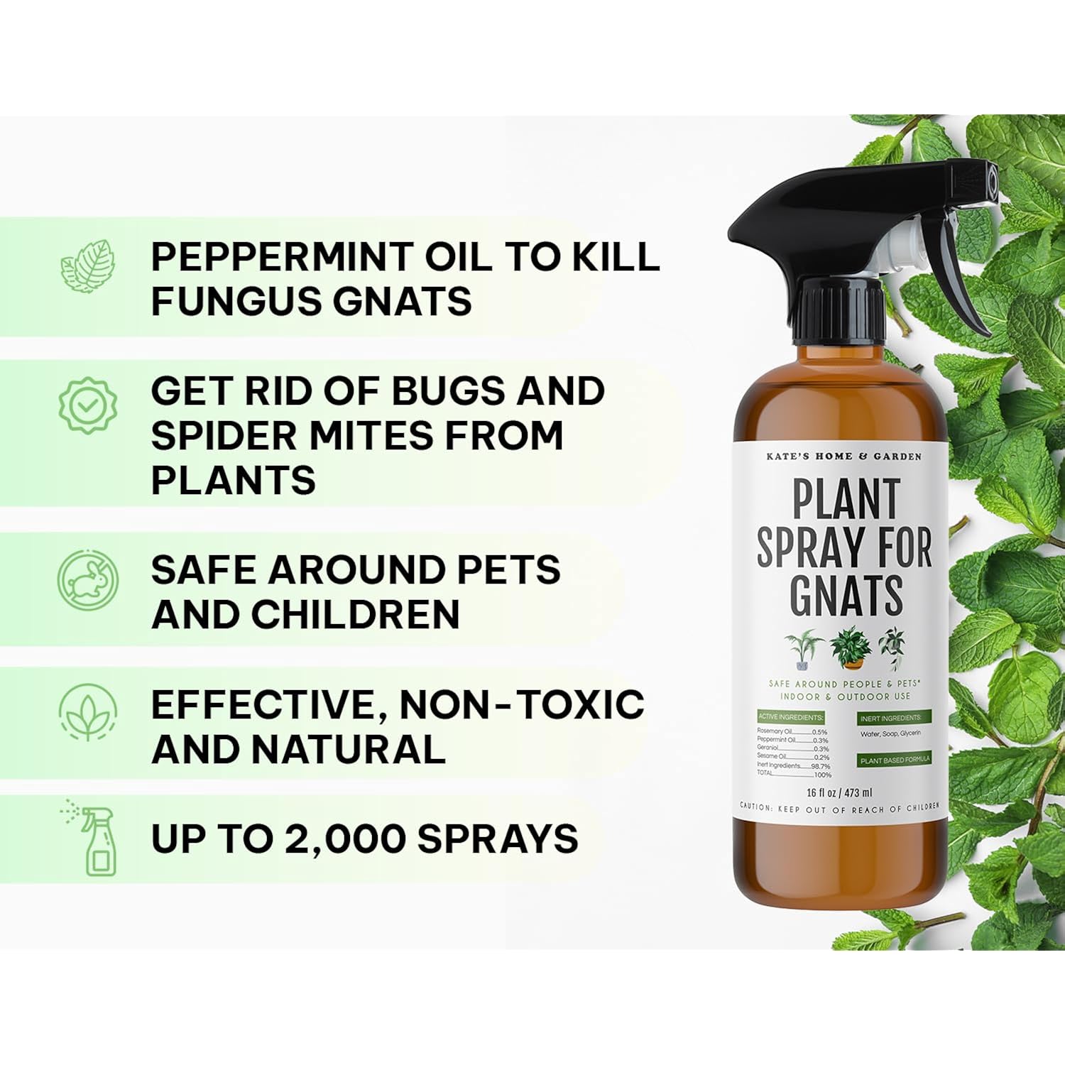 Kate'S Home & Garden Plant Spray For Insects & Getting Rid Of Gnats With 12 Sticky Traps. Fungus Gnat Killer & Bug Spray For Indoor Plants (16Oz, Peppermint, Pet Safe, Non Toxic)