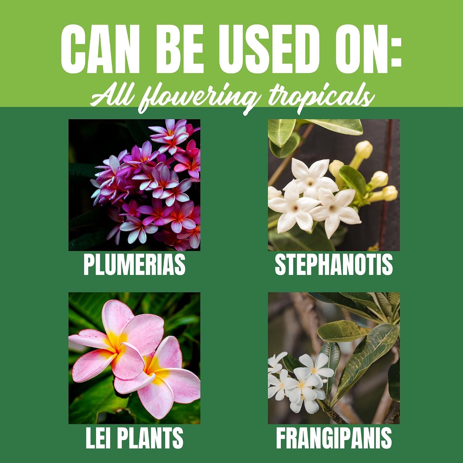 Nelson Plumeria Plant And All Flowering Tropicals Food Ferns Orchids Lilys In Ground Container Patio Grown Granular Fertilizer Nutristar 5-30-5 (2 Lb)