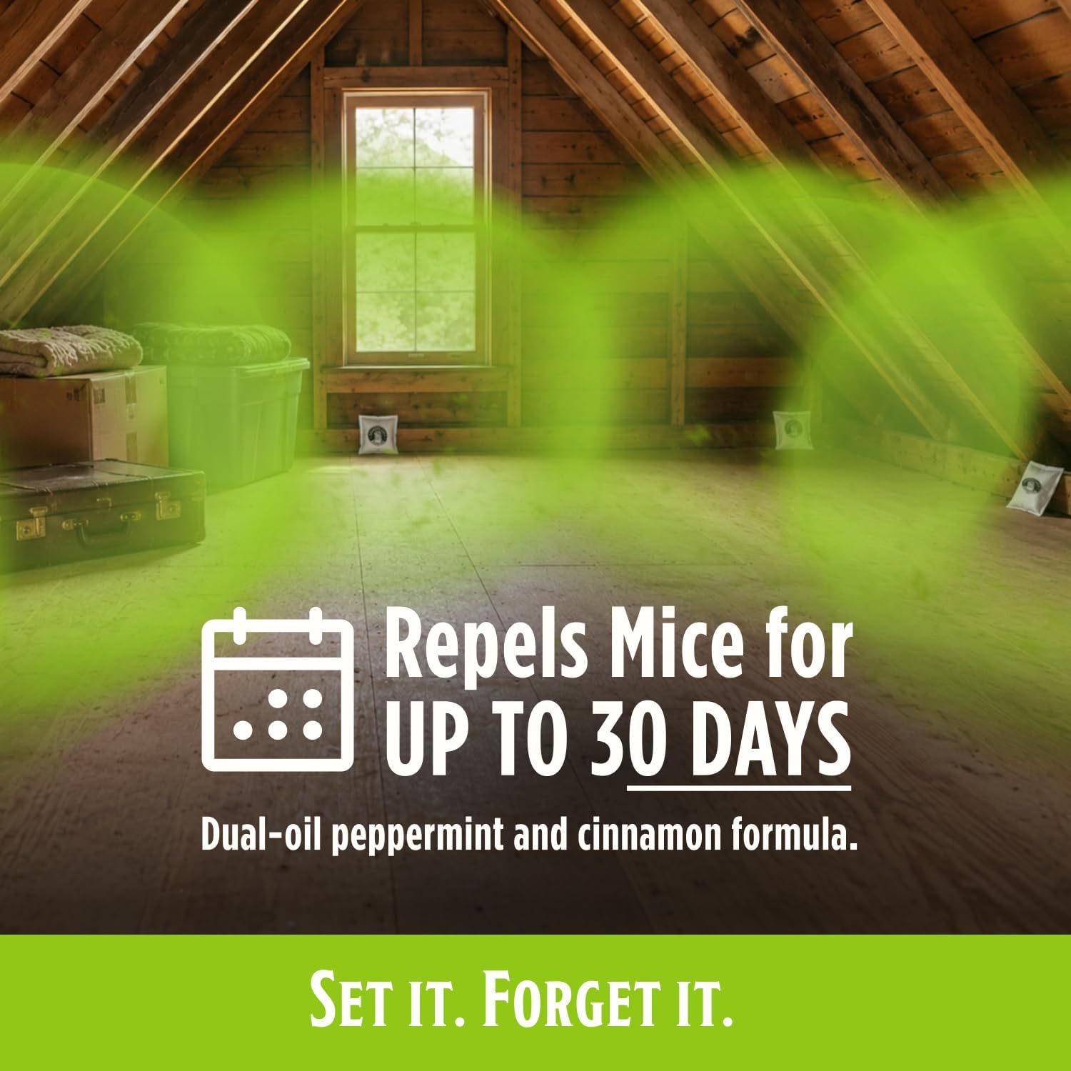 Grandpa Gus'S Mouse Repellent Pouches, Natural Peppermint Oil, 10 Pouches | Cinnamon & Peppermint Oil Helps Repel Mice From Nesting In Home/Cabin/Boat/Car Storage/Rv/Machinery/Shed, Kid & Pet Safe