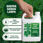 Simple Lawn Solutions - Liquid Iron Fertilizer Darker Green - Chelated Micronutrients - Concentrated Green Booster For Turf Grass, Indoor Plants And Outdoor Garden (32 Ounce)