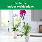 Miracle-Gro Orchid Plant Food Spikes - Indoor Plant Fertilizer Sticks For Potted Orchids, Feeds For Up To 2 Months, 10 Spikes