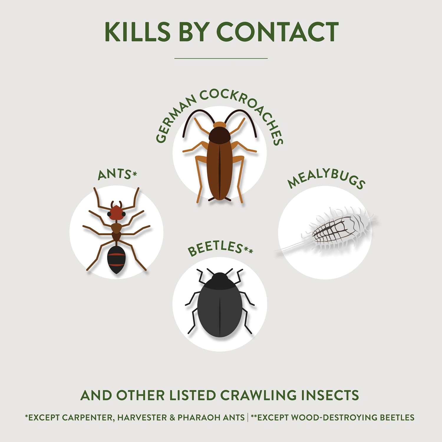 Garden Safe Brand Crawling Insect Killer Containing Diatomaceous Earth, 4 Pounds, Kills Cockroaches, Ants And Other Listed Crawling Insects By Contact, For Use Indoors & Outdoors