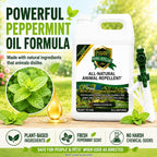 Animal & Rodent Repellent Spray. Repels Skunks, Raccoons, Rats, Mice, Deer Rodents & Critters. Repeller & Deterrent In Powerful Peppermint Formula – 128 Fl Oz Gallon Ready To Use