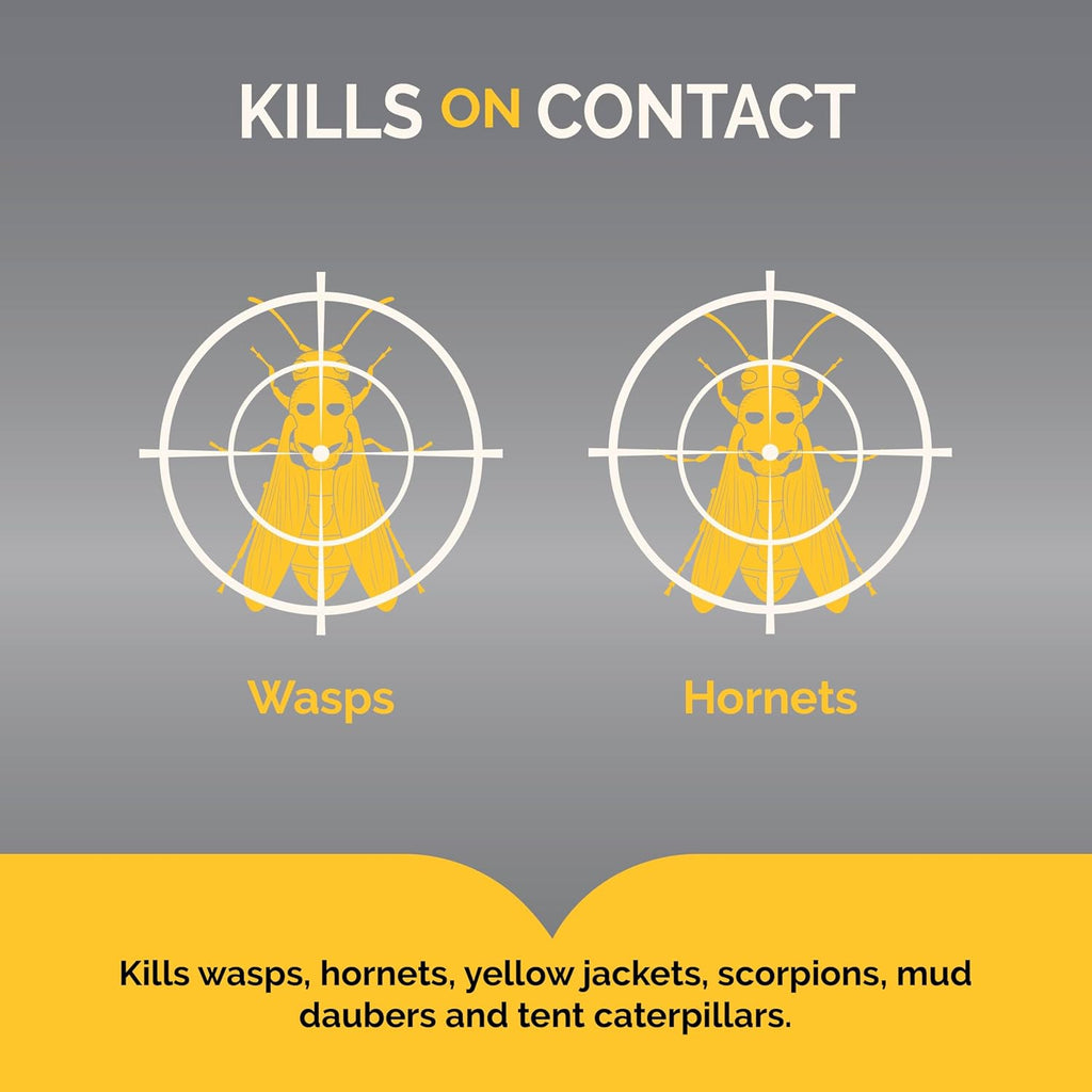 Hot Shot Wasp And Hornet Killer 17.5 Ounces, Bonus Size, Up To 27-Foot Jet Spray, 12 Pack, Black