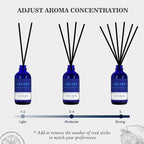 Xcleen Reed Diffusers Set, 3.7 Oz Scent Diffuser, 6 Reed Diffuser Sticks, Home Fragrance Hyacinth, Peony & Citrus, Aromatherapy Oil Diffuser Reeds, More Masculine Scent, Bathroom & Office Decor 110Ml