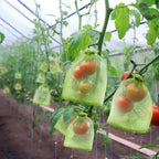 50 Pcs 6X9 Inches Fruit Protection Bags, Fruit Bags For Fruit Trees | Green Netting Fruit Cover Bags Drawstring Mesh Fruit Protectors