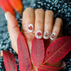 TailaiMei 3D Thanksgiving Nail Decals Stickers, Self-Adhesive Autumn Nail Art Decorations, Design for Fall Maple Leaves Pumpkin Turkey(1154 Pcs, 10 Sheets)