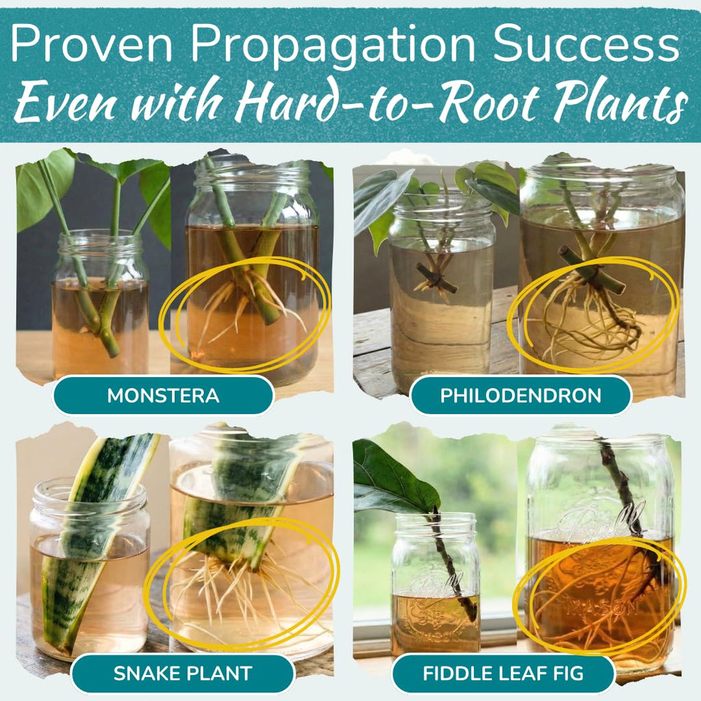 Houseplant Prop Drops, Cutting Rooting Hormone & Propagation Promoter, 8 Oz