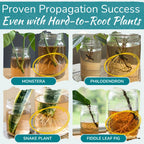 Houseplant Prop Drops, Cutting Rooting Hormone & Propagation Promoter, 8 Oz