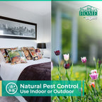Chomp! Travel Size Bed Bug & Insect Repellent, Natural, Tsa Approved Indoor Pest Control Spray For Travel & Home, Plant-Based Dust Mite, Ant, Spider, Fly Killer, Peppermint Scent, 3.4 Fl Oz