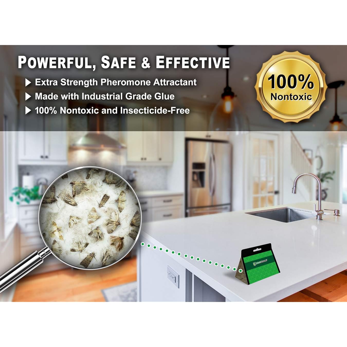 Maxguard Pantry Moth Traps (4 Traps Trial Pack) Extra Strength Pheromones | Non-Toxic Sticky Glue Trap For Food And Cupboard Moths In Your Kitchen | Trap And Kill Seed Grain Flour Meal Moths |