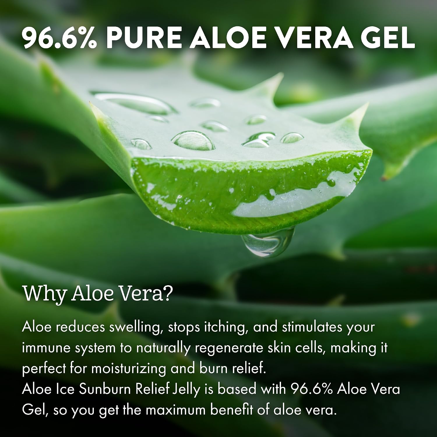 Aloe Up Aloe Vera Gel For Sunburn Relief – Cooling After Sun Jelly For Face & Body – 96.6% Pure Gel –, Water Resistant For Up To 80 Minutes, Alcohol & Fragrance Free – 4 Oz