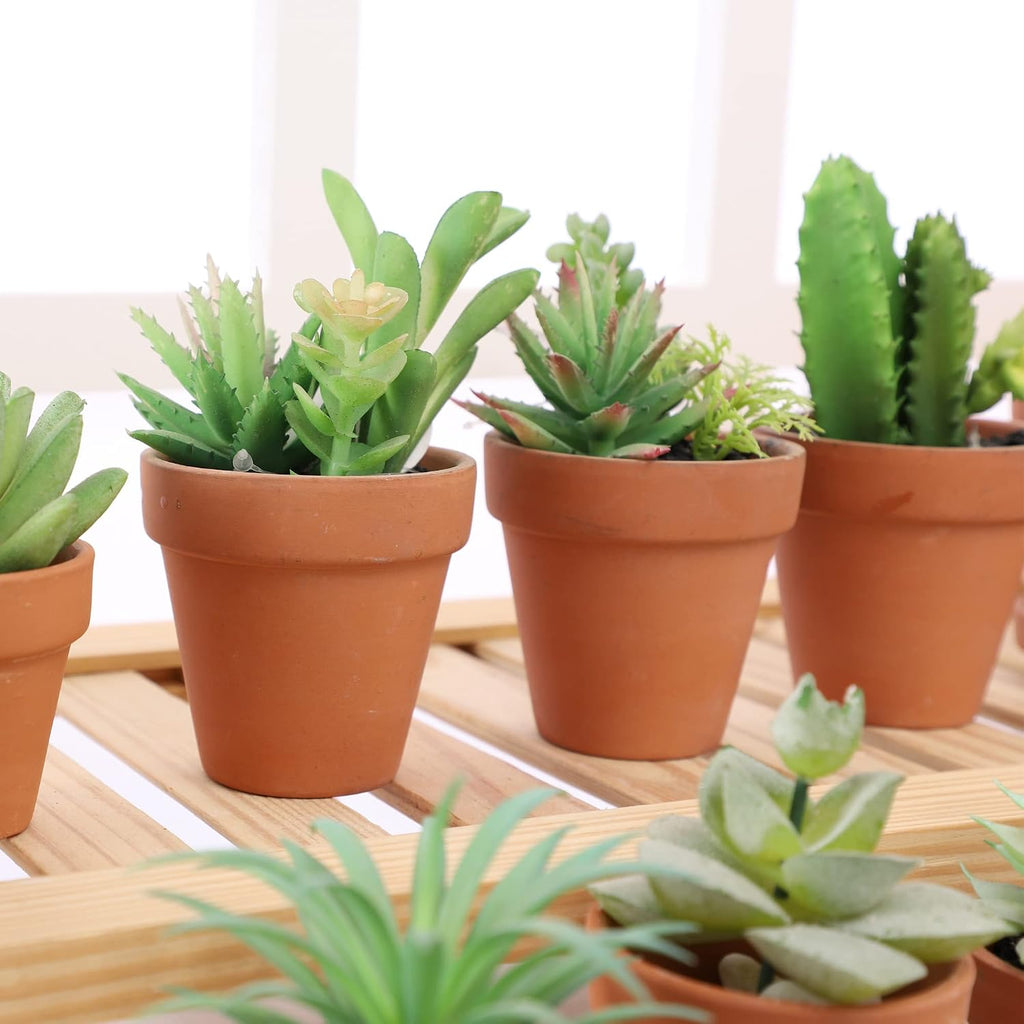 Yishang 2.5 Inch Terracotta Pots With Drainage Holes,Small Mini Clay Ceramic Pottery Planter,Cactus Flower Terra Cotta Pots,Succulents Nursery Pots For Indoor/Outdoor Plants,Crafts,Wedding-12 Pack