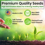 5 Herb Seeds Variety Kit, Oregano, Cilantro, Parsley, Basil, Chives