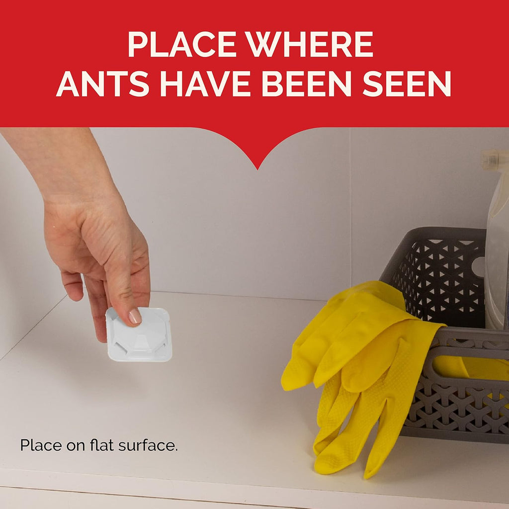 Hot Shot Maxattrax Ant Bait 8 Count, Child-Resistant Bait Stations