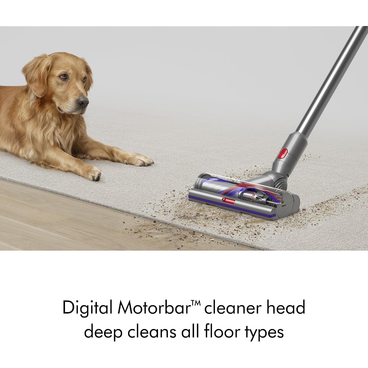 Dyson V15 Detect™ Pro Cordless Vacuum