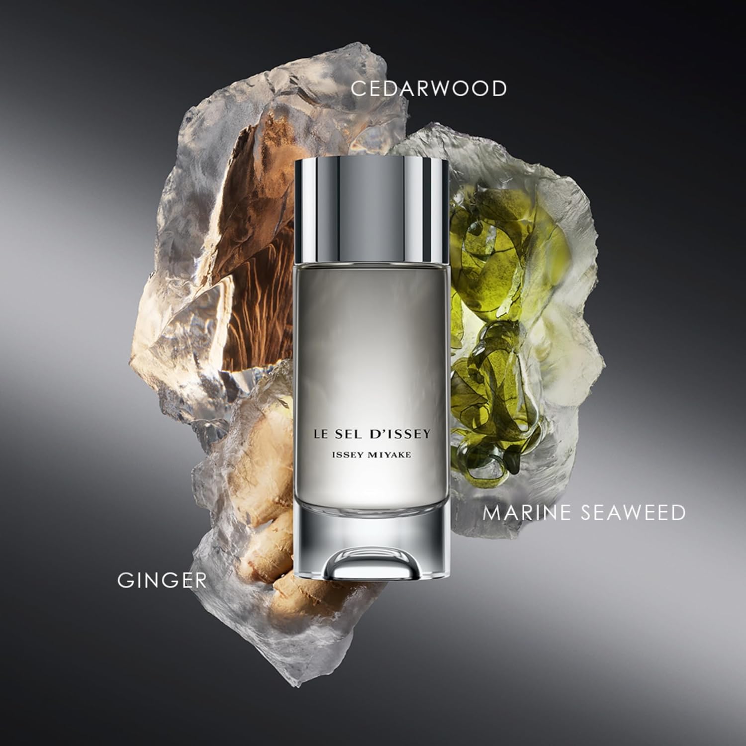Issey Miyake Le Sel d'Issey Eau de Toilette - Fresh Woody Marine Fragrance for Men - With Salt Accord, Marine Seaweed, Ginger & Cedarwood - Refillable