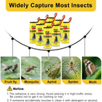 30 Rolls Fly Strips Traps For Home, Sticky Strips, Fly Paper Tape Catcher Ribbon For Gnat Fungus Fruit Flies