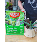 Potting Soil For All Indoor Houseplants, Contains Perlite, Peat Moss, Coco Coir And Rice Charcoal, Well Draining Potting Mix Light, Aerated Texture For Healthy Plant Roots And Fast Growth 1Qt