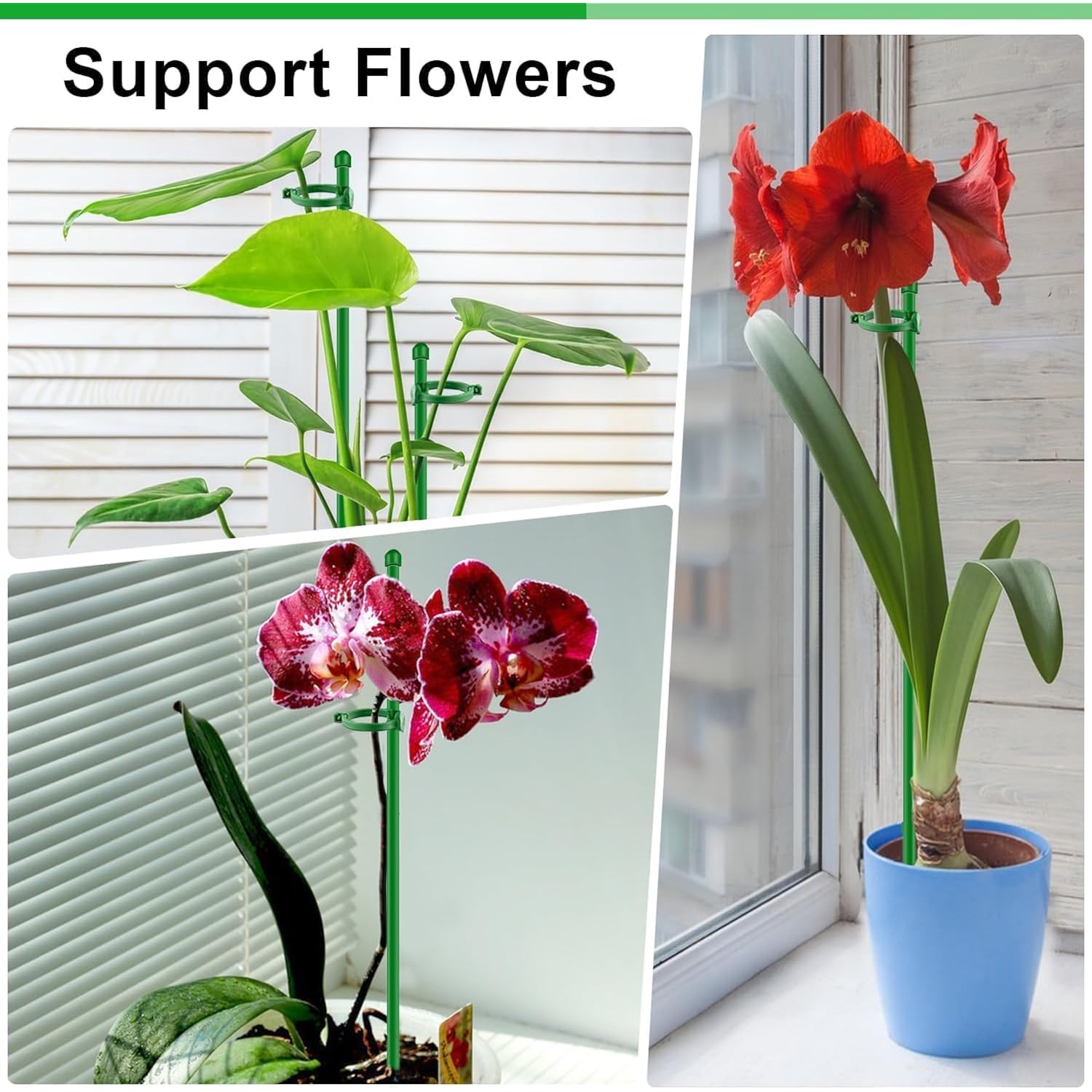 20Pcs Plant Support Stakes 17 Inch Supking Garden Orchid Sticks Extended To 3Ft 4Ft 5Ft Plant Poles With Clips For Indoor Outdoor Potted Tomato Rose Amaryllis Vegetables Comes With 20 Ties（Green）