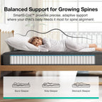 Novilla 8 Inch Twin Size Mattress,Twin Hybrid Mattress for Kids with Pocketed Coils & Gel-Infused Memory Foam for Back Pain Relief & Contour Support Mattresses in a Box CertiPUR-US Certified