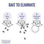 Terro T1804-6 Outdoor Ready-To-Use Liquid Ant Bait Killer And Trap - Kills Common Household Ants - 4 Bait Stations | Ready-To-Use Ant Killer Traps, Kills Common Household Ants Including Acrobat, Crazy, Ghost And Little Black Ants