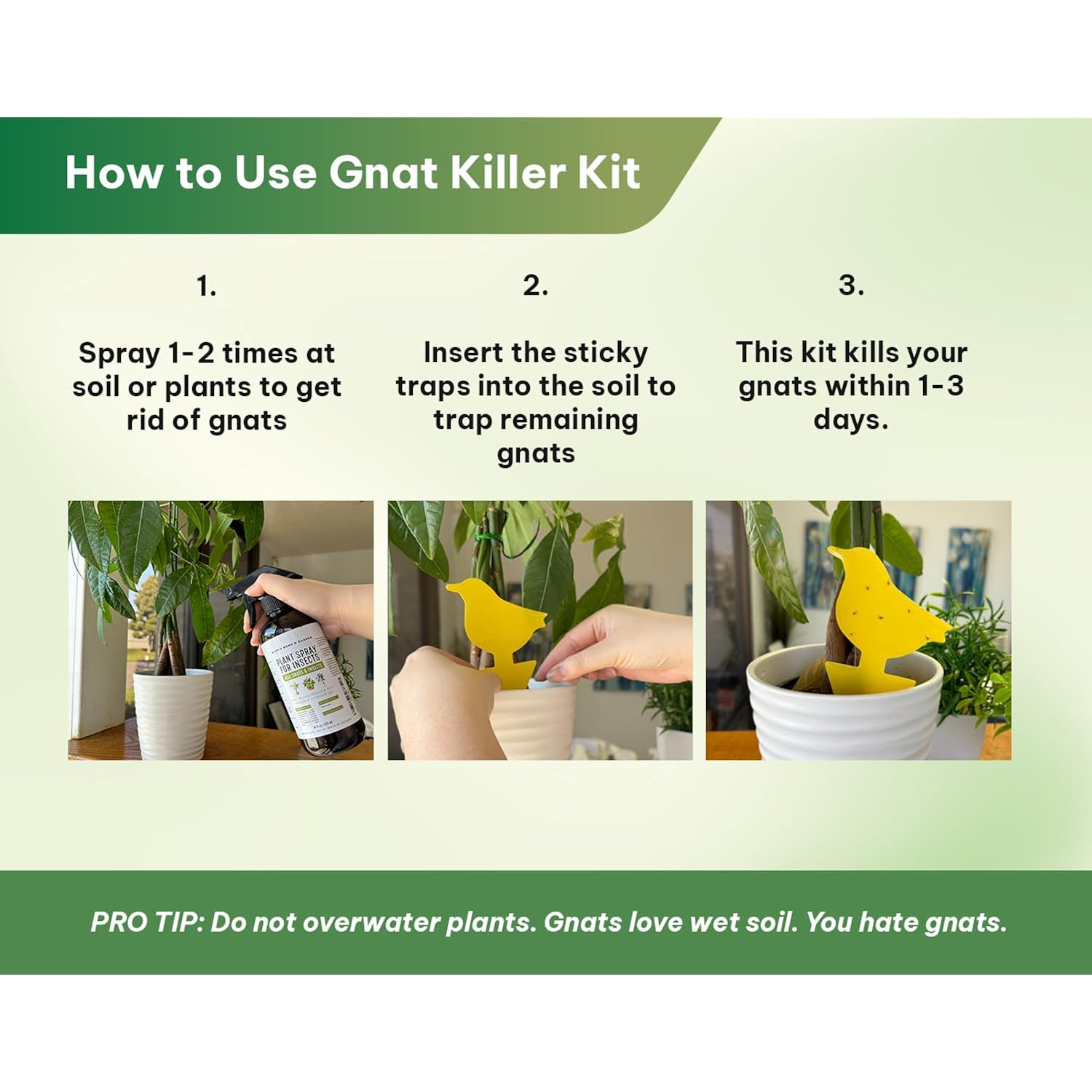 Kate'S Home & Garden Plant Spray For Insects & Getting Rid Of Gnats With 12 Sticky Traps. Fungus Gnat Killer & Bug Spray For Indoor Plants (16Oz, Peppermint, Pet Safe, Non Toxic)