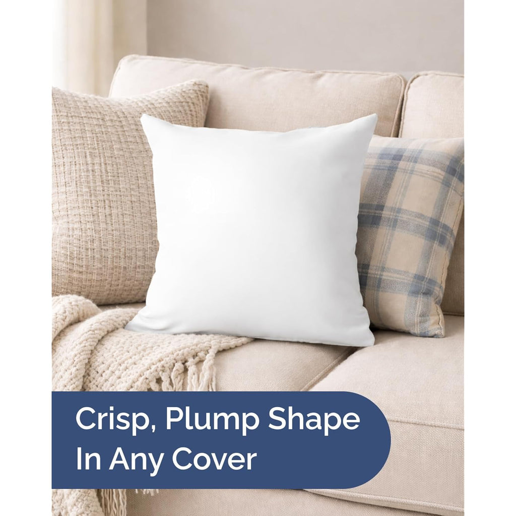 Throw Pillow Inserts 18x18 Set of 2 - Fluffy Down Alternative Fill - 10% More Fill Than Standard Loft - Plump Bounce-Back Support for Indoor & Outdoor Use - Hypoallergenic & Machine Washable - White