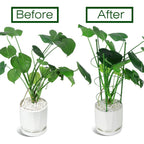 Leobro Tomato Cage, 2 Pcs Small Plant Support Cage Rust Resistant Garden Ring Stake Plant Support For Tomato, Trellis, Climbing Plant, Flower, Plant Cages For Small Plants,17.7" H