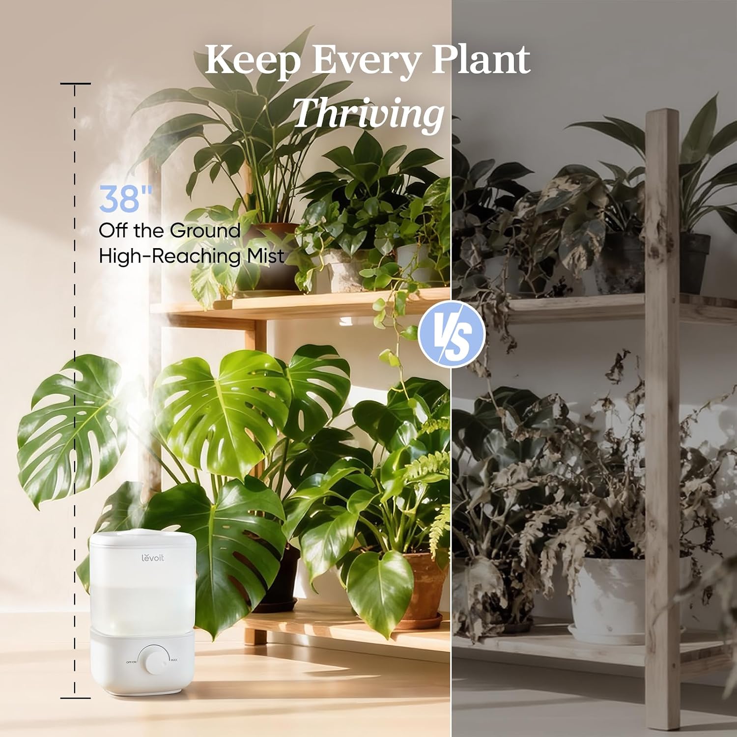 Levoit Top Fill Humidifiers For Bedroom, 2.5L Tank For Large Room, 28Db | Easy To Fill & Clean, Quiet Cool Mist Air Humidifier For Home Baby Nursery & Plants, Auto Shut-Off For Safety, 25H Lasting