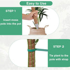 3 Pack Moss Pole, 50 Inch Monstera Plant Support, Tall Moss Poles For Climbing Plants Indoor Diy, Coco Coir Plant Pole Moss Plant Stick Support Stake Kit For Potted Plants, Pothos, Philodendron