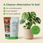 Molly'S Aroid Mix - Premium Soilless Potting Mix For Houseplants - Fast Draining, Chunky & Easier To Water Vs. Soil For Indoor Plants - With Bark, Coco Chips, Worm Castings, Mycorrhizae 10 Dry Quarts