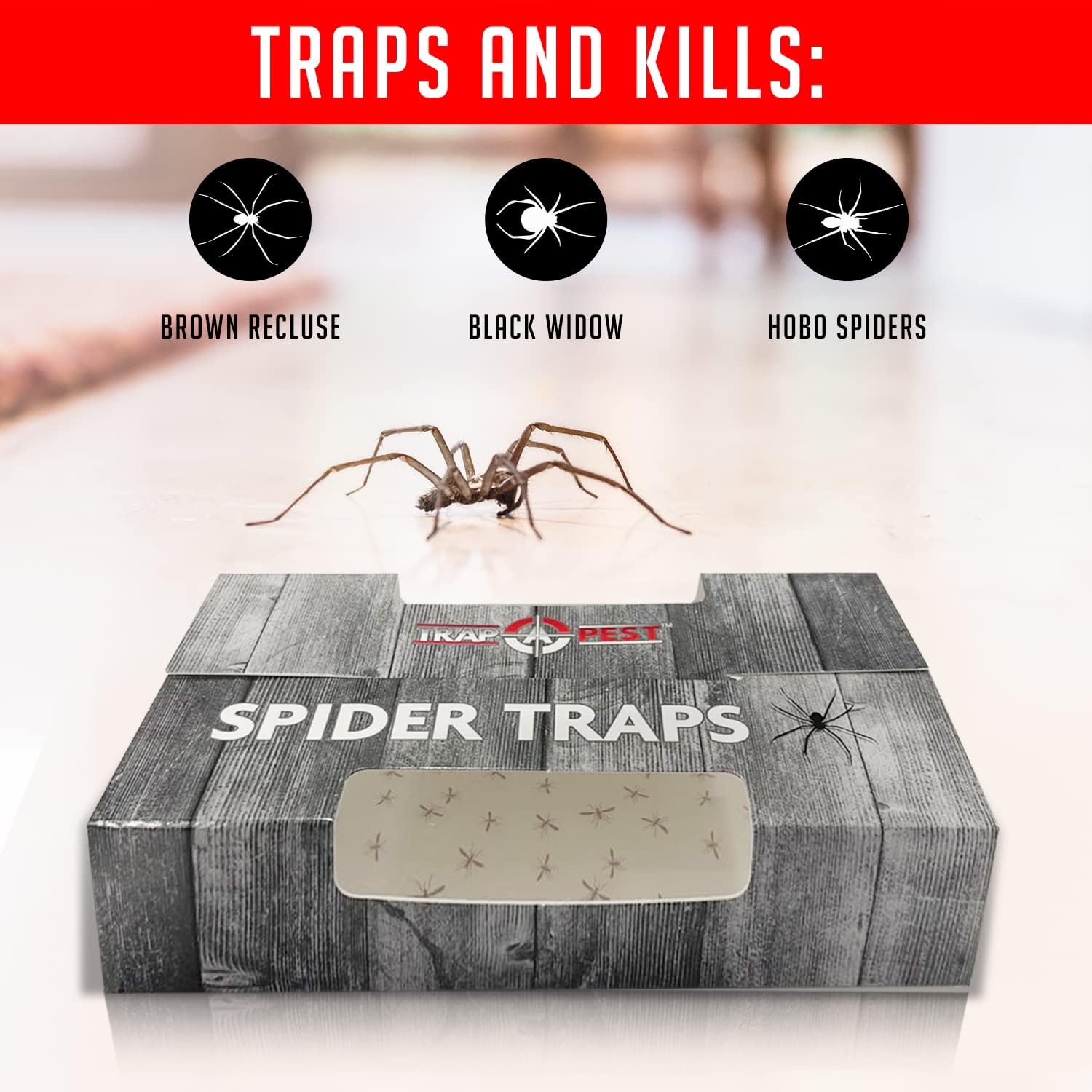 Spider Traps For Inside Your Home (16 Traps) - Spider Catcher Insect Traps Indoor - Spider Traps Indoor Bug Traps Sticky Traps For Spiders - Pre Baited Ultra Sticky Insect Glue Traps - Trap A Pest