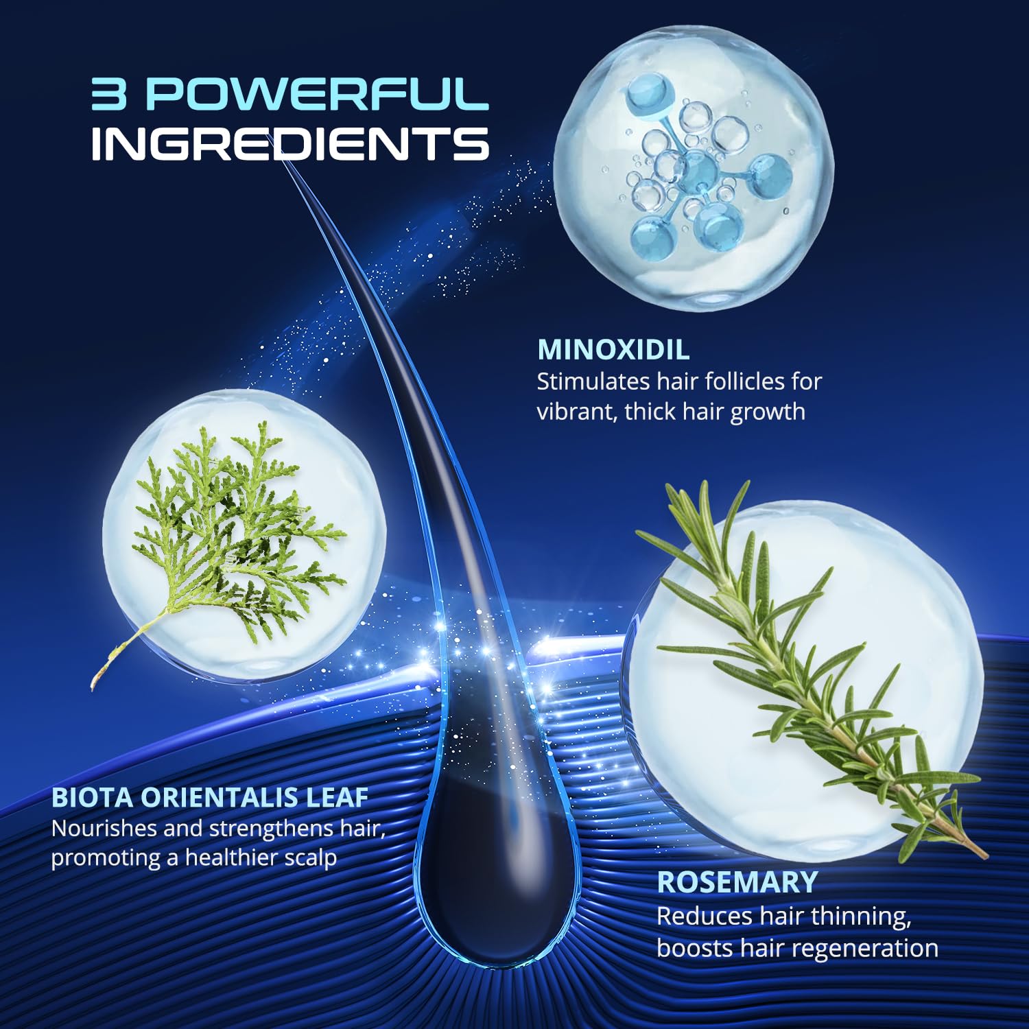 5% Minoxidil for Women and Men: 2-Pack Minoxidil Hair Growth Products - Minoxidil for Men - Biotin Serum - Hair Growth Serum with Rosemary - Hair Loss Solution - Faster Stronger Thicker - 60ML Each