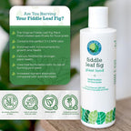 Fiddle Leaf Fig Plant Food, 3-1-2 Npk Liquid Fertilizer For Ficus, 8 Oz