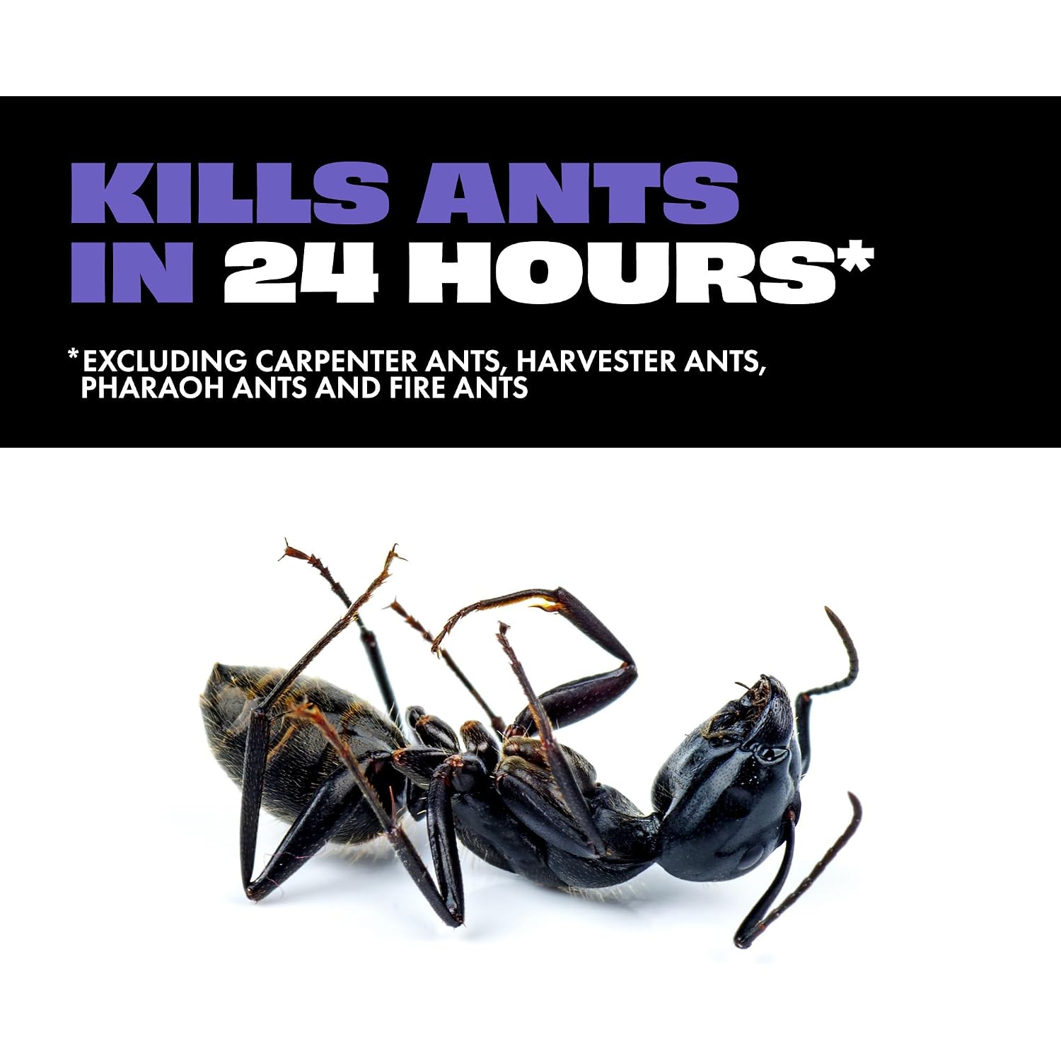 Stem Liquid Ant Baits, Kills The Queen And Colony, For Indoor Use, 8 Spill Proof Bait Stations