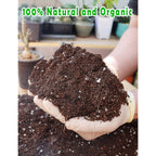 Potting Soil For All Indoor Houseplants, Contains Perlite, Peat Moss, Coco Coir And Rice Charcoal, Well Draining Potting Mix Light, Aerated Texture For Healthy Plant Roots And Fast Growth 1Qt