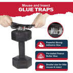 Glue Mouse Traps Indoor For Home -12 Pack Sticky Mousetraps Indoor For Safe Home Pest Control. Pre-Scented, Non-Toxic Glue Boards For Mice, Mouse & & Insects. Easy To Use