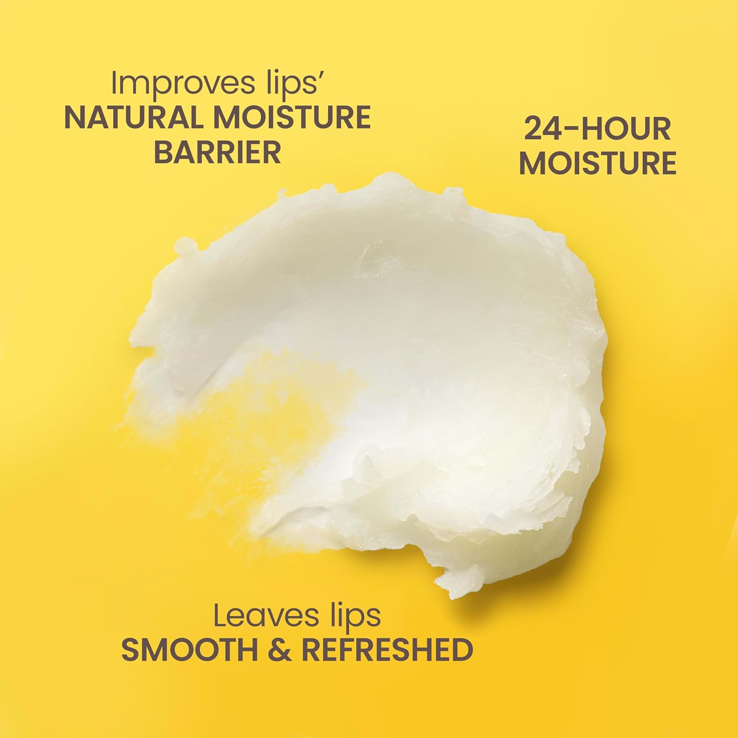 Burt's Bees Vanilla Bean Moisturizing Lip Balm, 100% Natural Origin, Mother's Day Gift, 2 Tubes, 0.15 oz