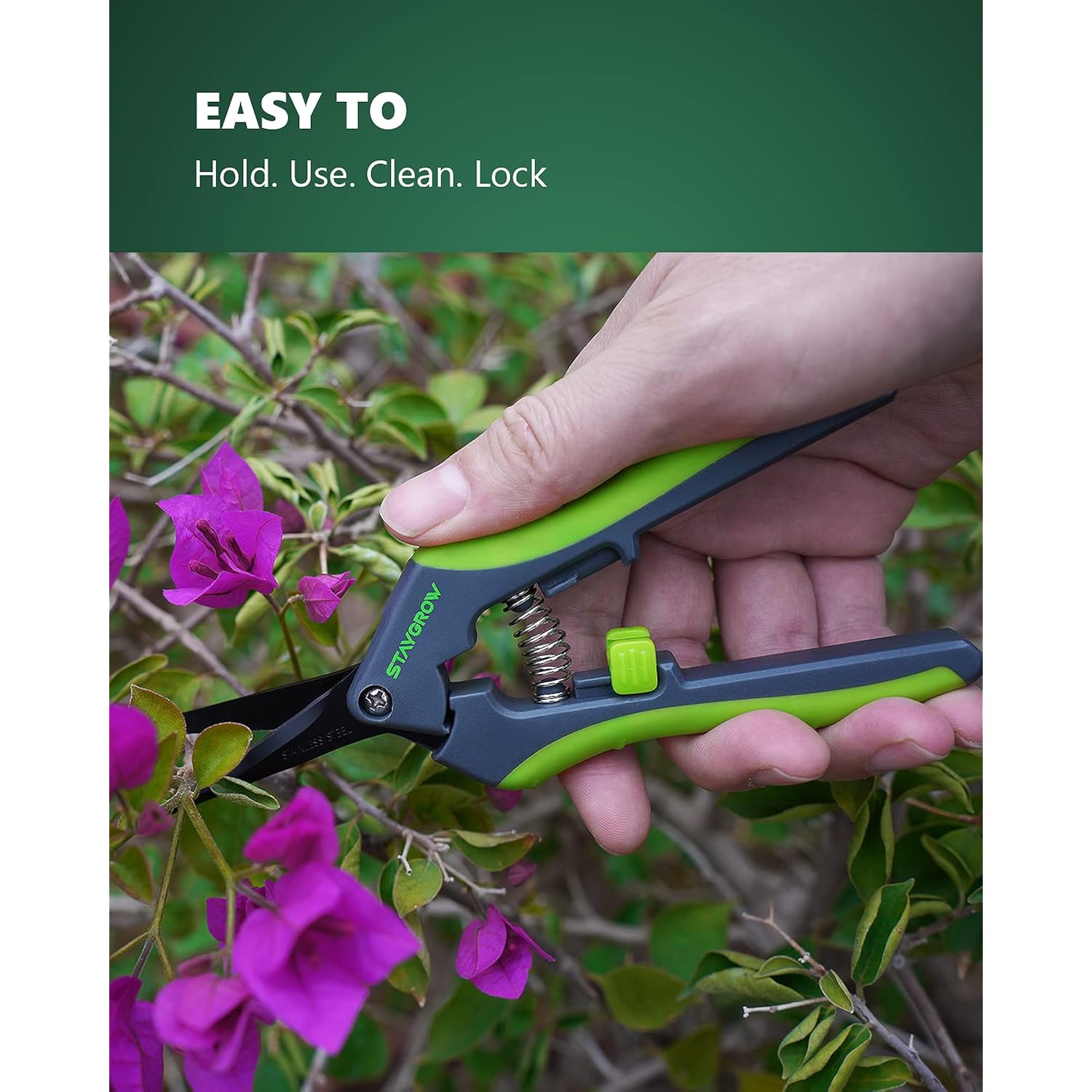 2Pcs 6.5" Pruning Shears For Gardening Ultra Sharp Garden Scissors | Plant Snips For Precise Cuts, Stainless Steel Bonsai Clippers With Spring Loaded, Garden Shears (1Pc Straight & 1Pc Curved)
