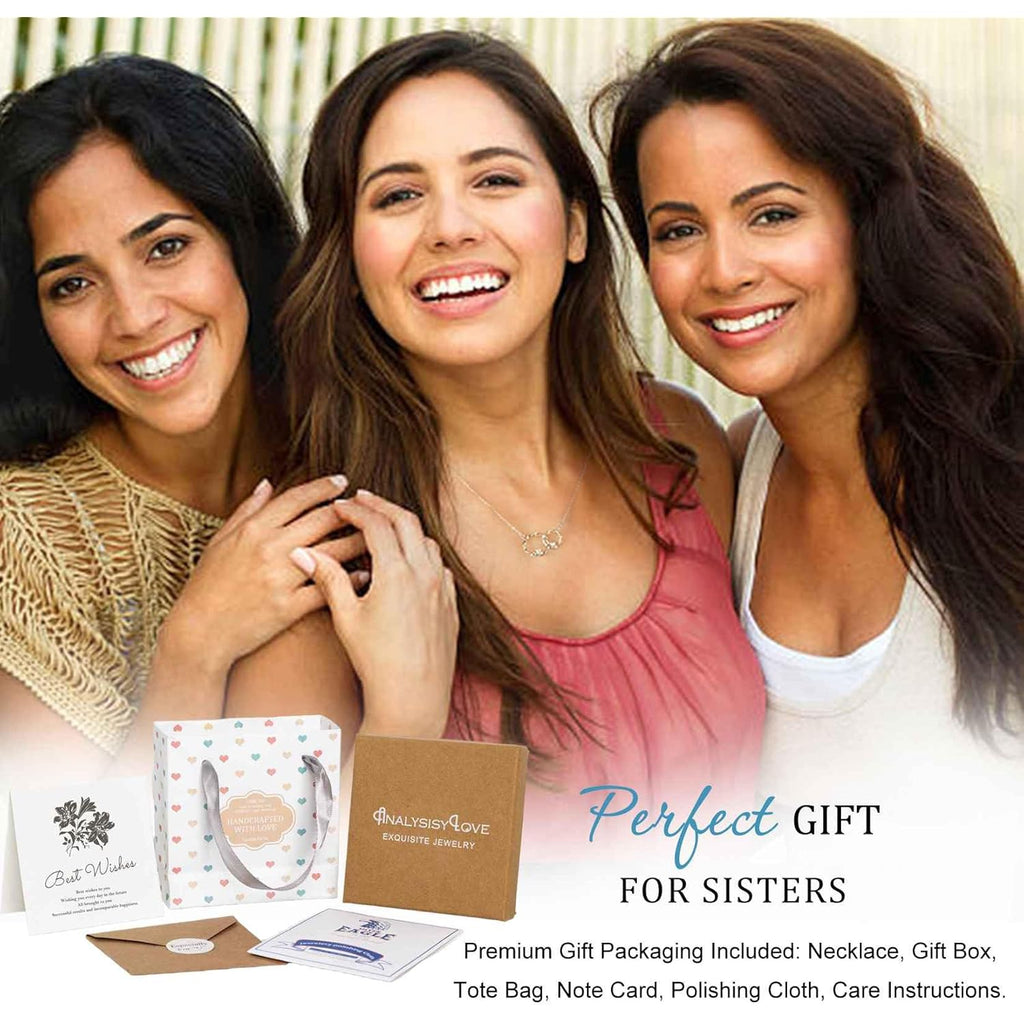 AnalysisyLove Sister Gifts, Sterling Silver Interlocking 2 Circles Necklace for Big & Little Sisters, Sister Birthday Gifts from Sisters